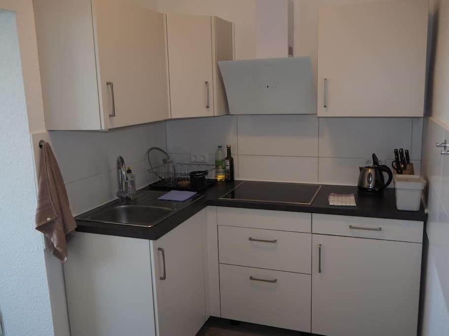 Apartment 3-raum Wohnung, Fuer Monteure Dresden